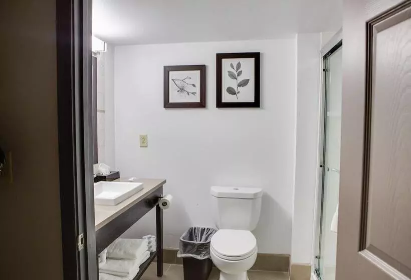 Standard-huone King-vuode, Country Inn & Suites By Radisson, Harlingen, Tx