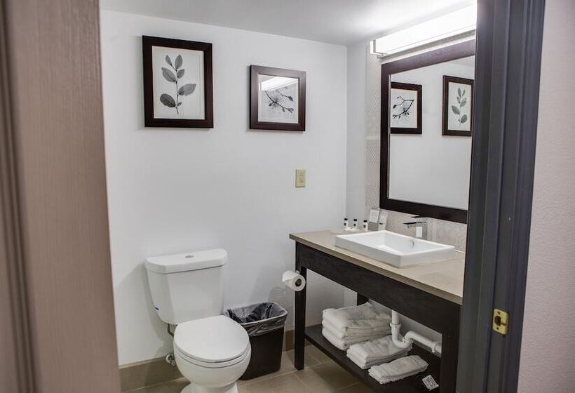 חדר סטנדרט עם מיטת קינג, Country Inn & Suites By Radisson, Harlingen, Tx