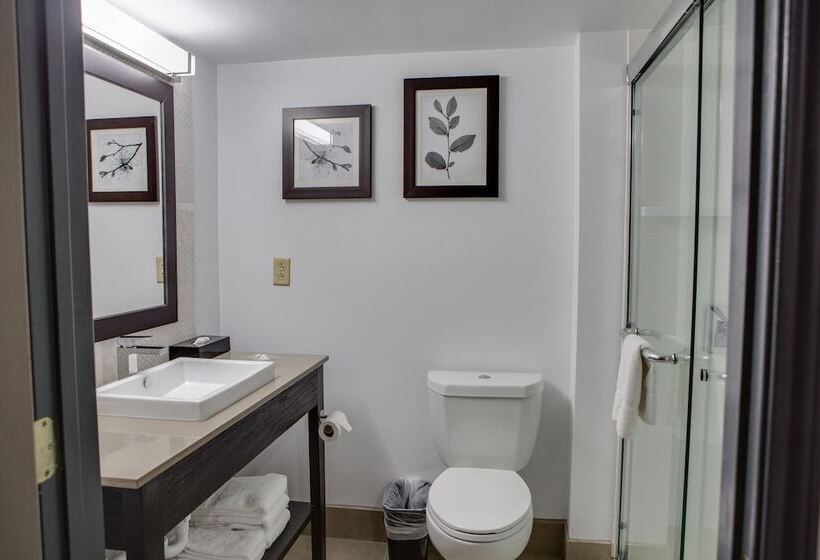 סוויטה, Country Inn & Suites By Radisson, Harlingen, Tx