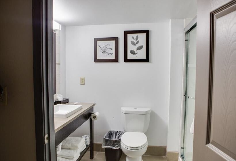 סוויטה, Country Inn & Suites By Radisson, Harlingen, Tx