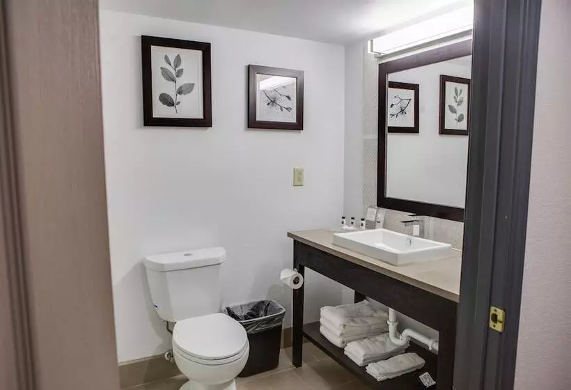 Sviitti, Country Inn & Suites By Radisson, Harlingen, Tx