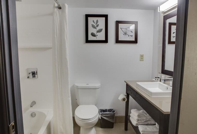 סוויטה, Country Inn & Suites By Radisson, Harlingen, Tx