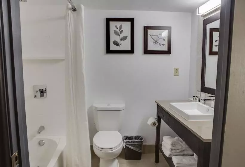 Premium-sviitti, Country Inn & Suites By Radisson, Harlingen, Tx