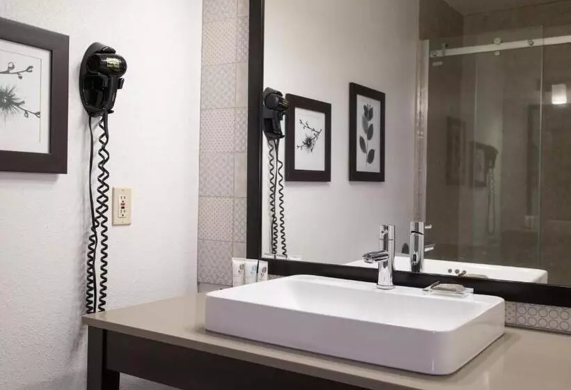 Standard-huone, Country Inn & Suites By Radisson, Platteville, Wi