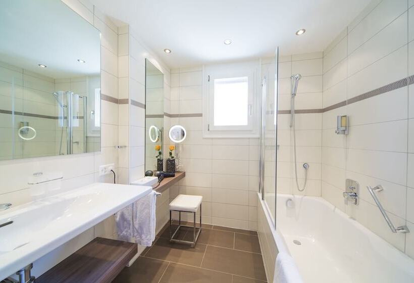 マウンテンビューデラックスルーム, Excelsior