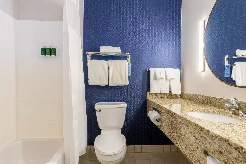 اتاق استاندارد با تخت بزرگ, Fairfield Inn & Suites Rancho Cordova