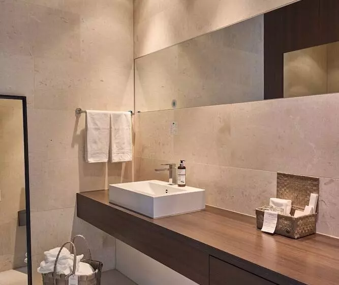 デラックススイート, Limmathof Baden   Historisches Haus & Spa