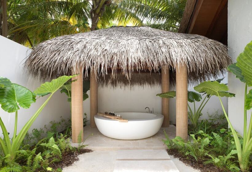 ویلای یک اتاق خوابه با استخر شنا, Sirru Fen Fushi Private Lagoon Resort