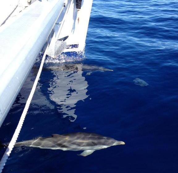 Студия Superior, Honeymoon Petra Villas