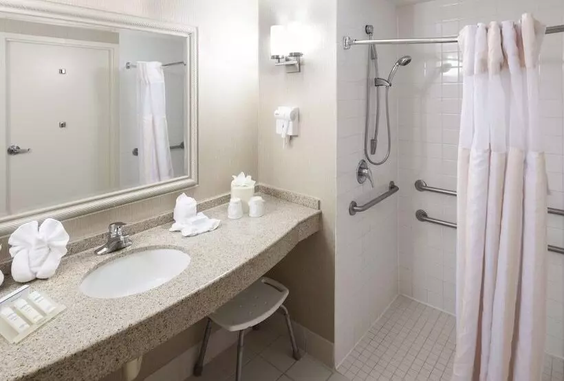 身障者適用ダブルベッド付きスタンダードルーム, Hilton Garden Inn Rockaway