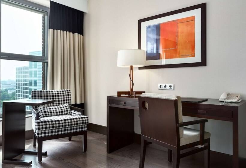 高级大房间, NH Den Haag