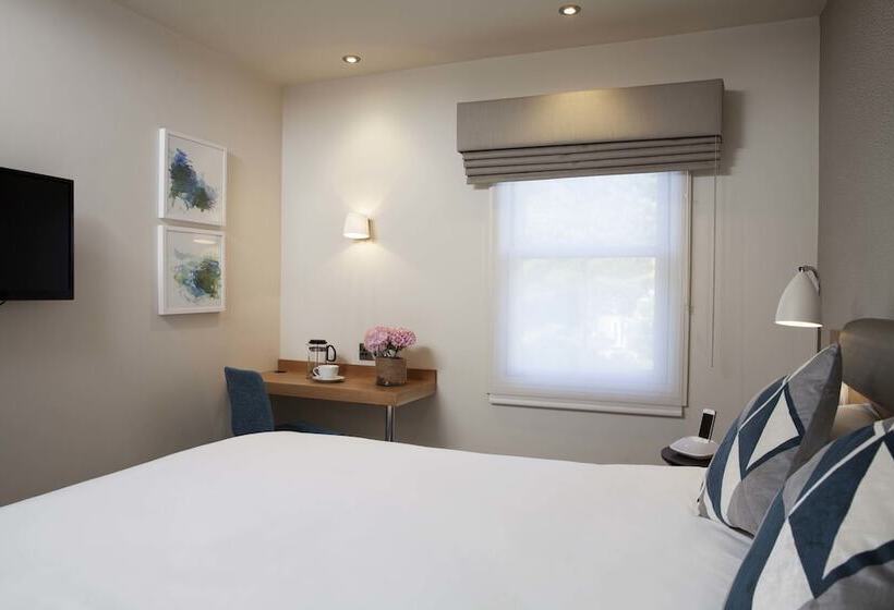 スタンダードルーム, The Orchid