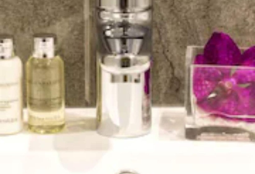 スタンダードルーム, The Orchid