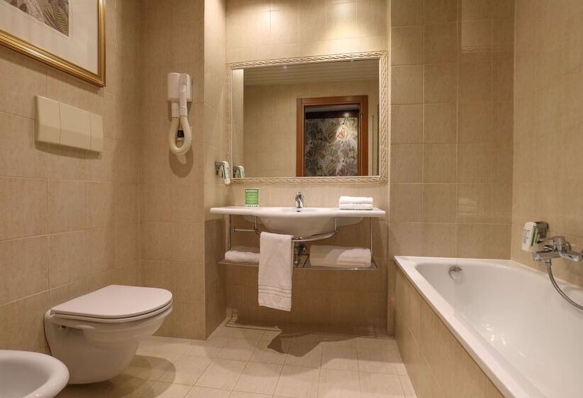 חדר ביזנס, Best Western Park Hotel Roma Nord