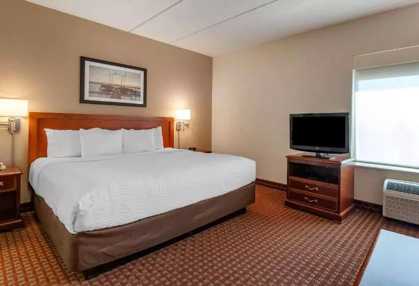 سوئیت با تخت بزرگ, Clarion Suites At The Alliant Energy Center