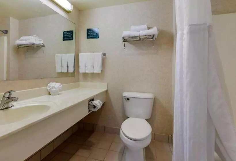 اتاق استاندارد, Clarion Suites At The Alliant Energy Center