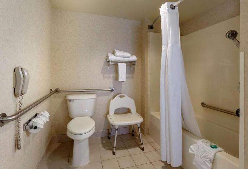 סוויטה מותאמת לאדם עם מוגבלויות, Clarion Suites At The Alliant Energy Center