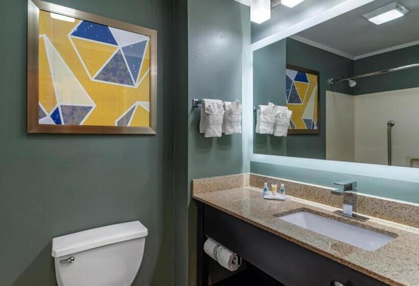 Номер Стандарт Кровать Кинг Адаптированный для Инвалидов, Comfort Inn & Suites At Stone Mountain