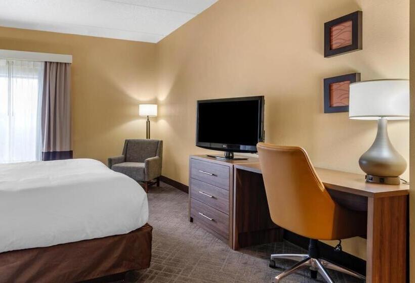 غرفة قياسية سرير كينج لذوى الإحتياجات الخاصة, Comfort Inn & Suites At Stone Mountain
