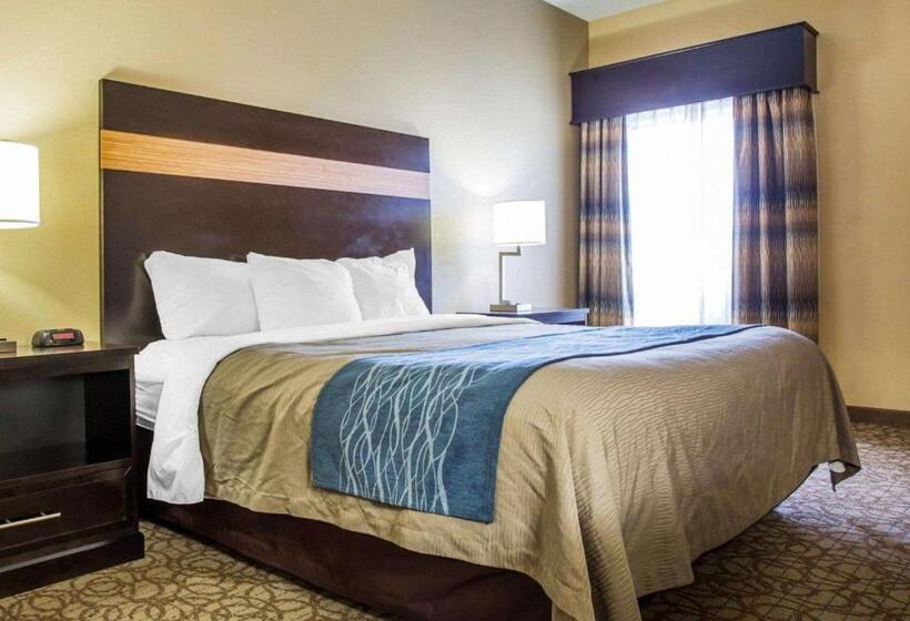 غرفة قياسية سرير كينج لذوى الإحتياجات الخاصة, Comfort Inn & Suites At Stone Mountain