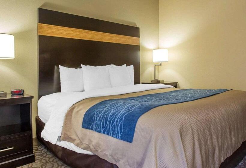Номер Стандарт Кровать Кинг Адаптированный для Инвалидов, Comfort Inn & Suites At Stone Mountain