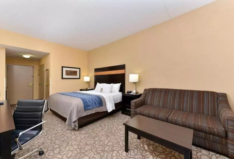 Standard-huone King-vuode, Comfort Inn & Suites At Stone Mountain