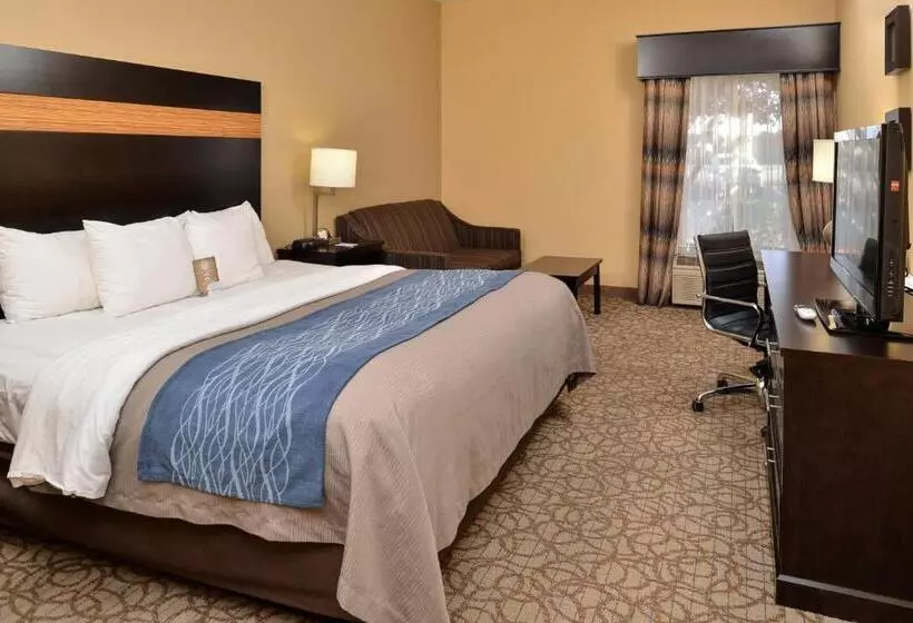 Standard-huone King-vuode, Comfort Inn & Suites At Stone Mountain