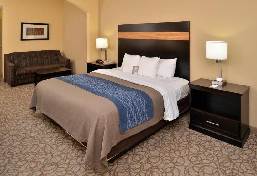 غرفة قياسية سرير كينج, Comfort Inn & Suites At Stone Mountain