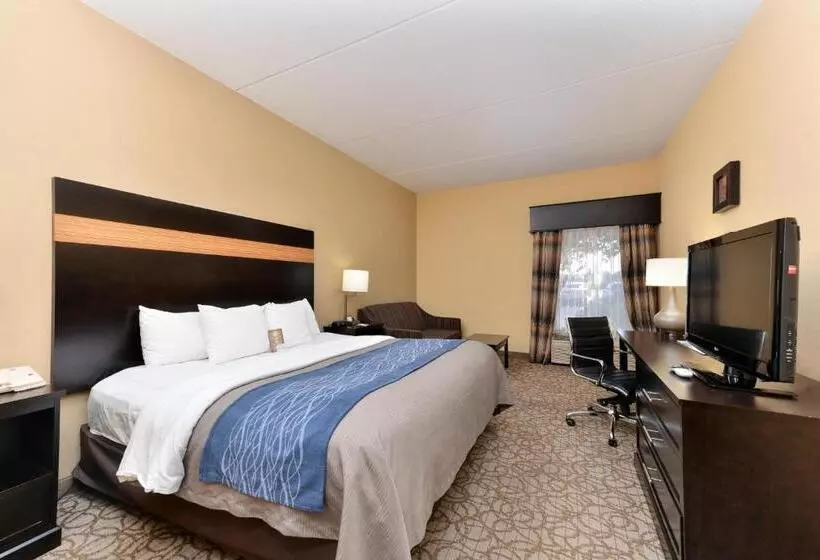 Standard-huone King-vuode, Comfort Inn & Suites At Stone Mountain
