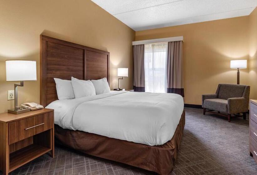 غرفة قياسية سرير كينج, Comfort Inn & Suites At Stone Mountain