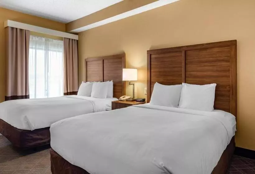 Standard-huone, Comfort Inn & Suites At Stone Mountain