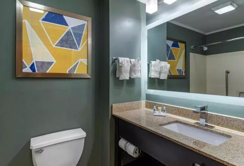 Sviitti King-vuode, Comfort Inn & Suites At Stone Mountain