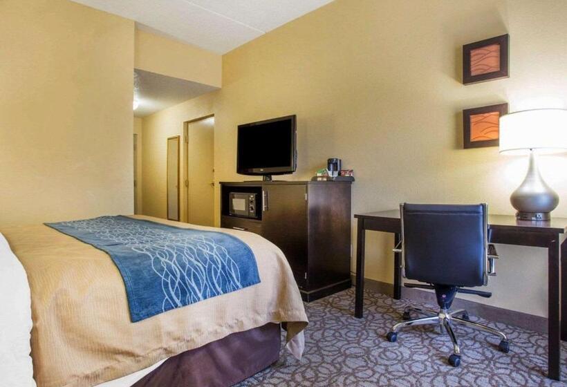 جناح سرير كينج, Comfort Inn & Suites At Stone Mountain