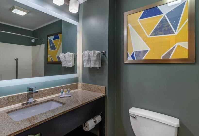 Люкс, Comfort Inn & Suites At Stone Mountain