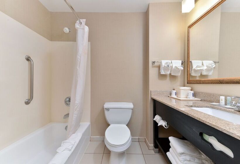 Люкс, Comfort Inn & Suites At Stone Mountain