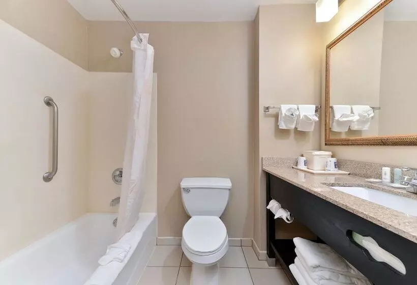 Sviitti, Comfort Inn & Suites At Stone Mountain