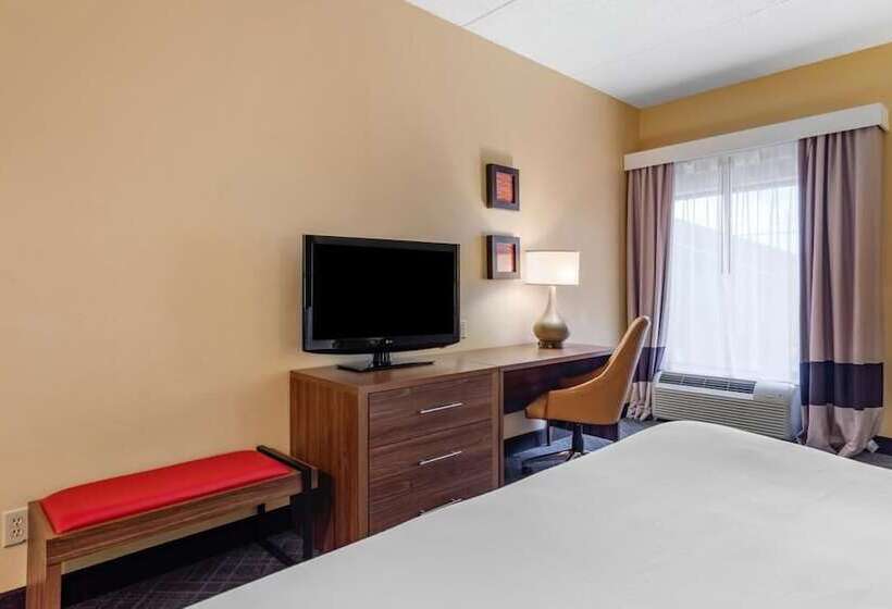 جناح, Comfort Inn & Suites At Stone Mountain
