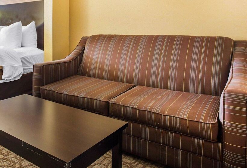 جناح, Comfort Inn & Suites At Stone Mountain