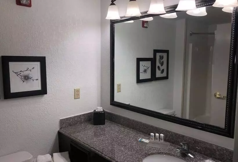 スイート, Country Inn & Suites By Radisson, Biloxi Ocean Springs, Ms