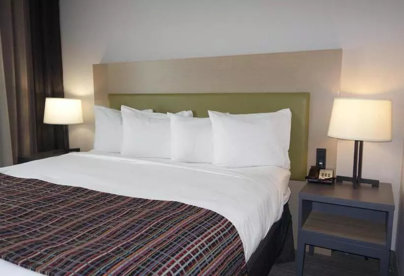 キングサイズベッドのスイートルーム, Country Inn & Suites By Radisson, Coralville, Ia