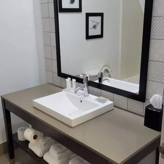 スイート, Country Inn & Suites By Radisson, Mcdonough, Ga