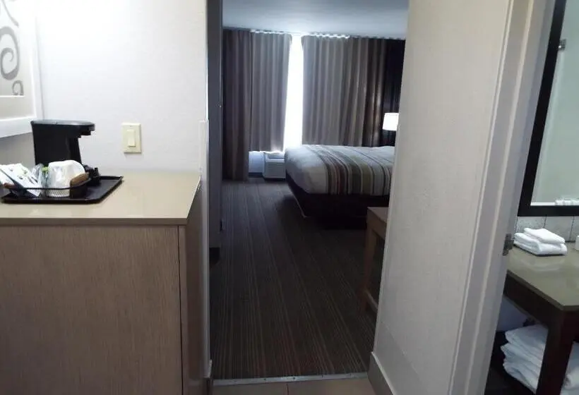 キングサイズベッドのスタンダードルーム, Country Inn & Suites By Radisson, Mcdonough, Ga
