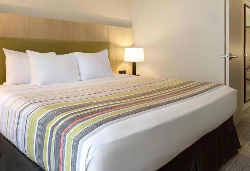 キングサイズベッドのスイートルーム, Country Inn & Suites By Radisson, Mcdonough, Ga