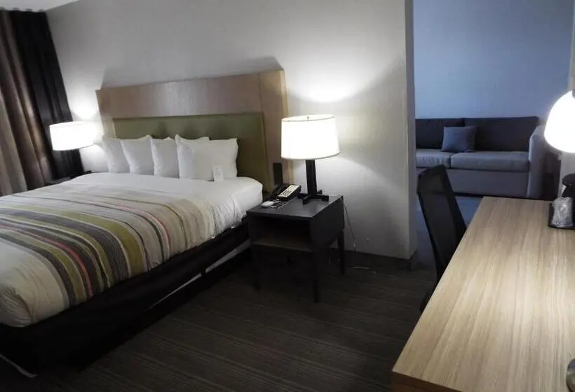 キングサイズベッドのスイートルーム, Country Inn & Suites By Radisson, Mcdonough, Ga