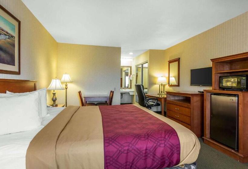 스탠다드 룸 킹사이즈 침대, Econo Lodge Inn & Suites Riverside  Corona