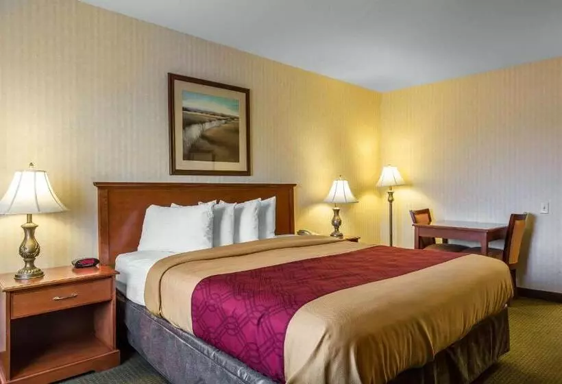キングサイズベッドのスタンダードルーム, Econo Lodge Inn & Suites Riverside  Corona