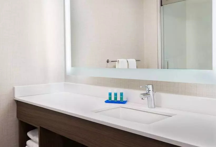 スイート, Holiday Inn Express & Suites   Columbus Airport East, An Ihg