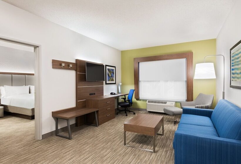 이그제큐티브 스위트, Holiday Inn Express & Suites   Columbus Airport East, An Ihg