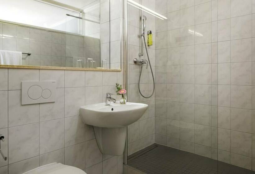 اتاق سوپریور, Parc Belle Vue