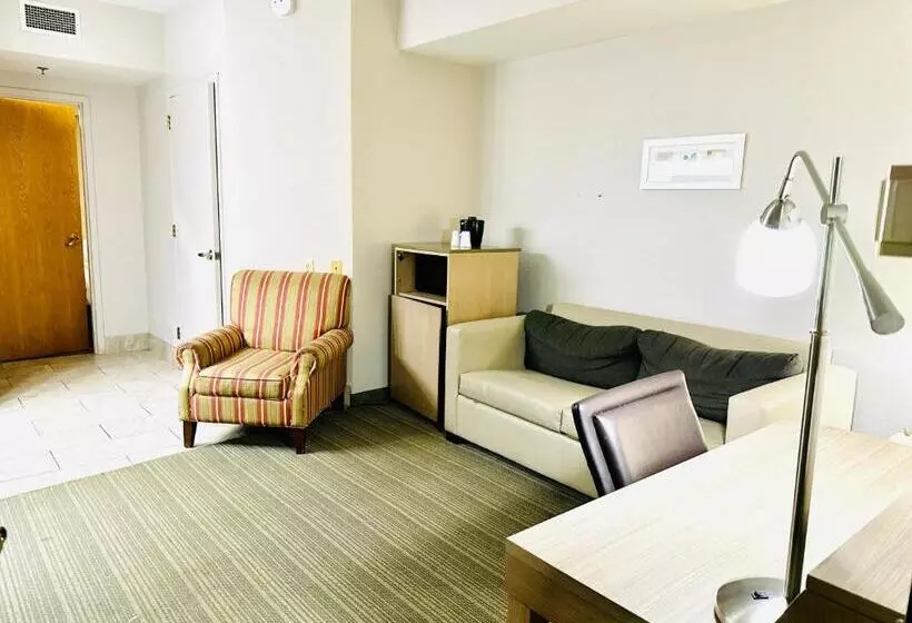 スイート（家族用）, Radiant Inn And Suites